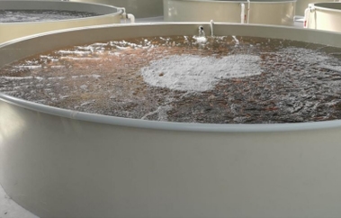 工廠化水產(chǎn)養(yǎng)殖設備品牌定位案例分析